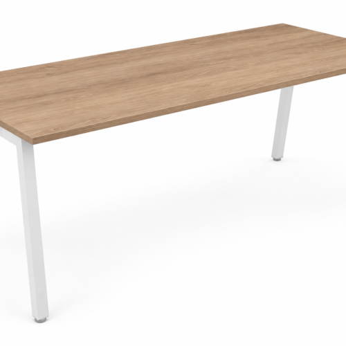MESA EJECUTIVA