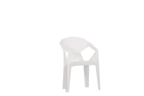 MUZE BLANCA (5)